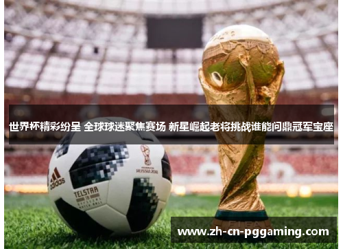 世界杯精彩纷呈 全球球迷聚焦赛场 新星崛起老将挑战谁能问鼎冠军宝座