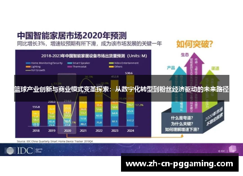 篮球产业创新与商业模式变革探索：从数字化转型到粉丝经济驱动的未来路径