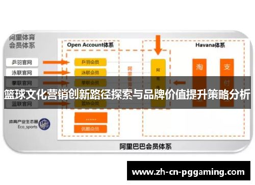 篮球文化营销创新路径探索与品牌价值提升策略分析