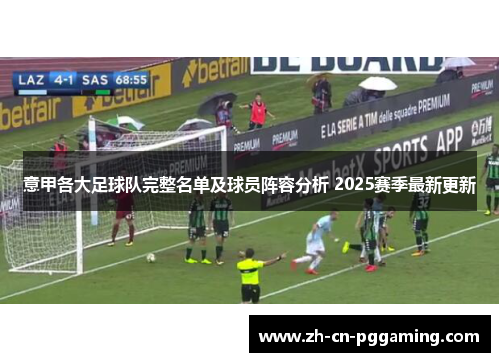 意甲各大足球队完整名单及球员阵容分析 2025赛季最新更新