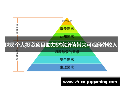球员个人投资项目助力财富增值带来可观额外收入