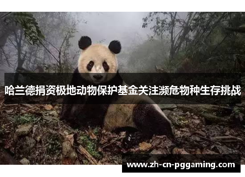 哈兰德捐资极地动物保护基金关注濒危物种生存挑战
