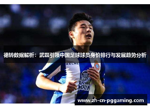 德转数据解析：武磊引领中国足球球员身价排行与发展趋势分析