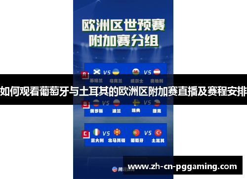 如何观看葡萄牙与土耳其的欧洲区附加赛直播及赛程安排