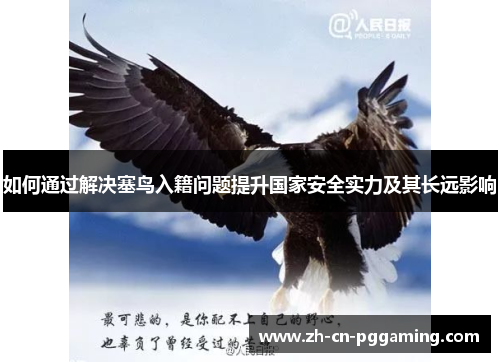 如何通过解决塞鸟入籍问题提升国家安全实力及其长远影响