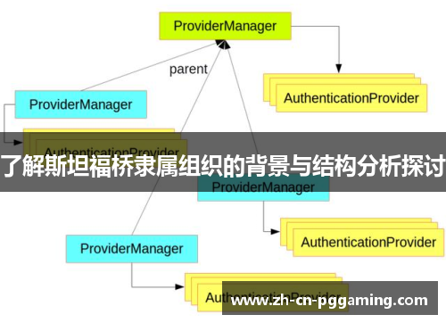 了解斯坦福桥隶属组织的背景与结构分析探讨